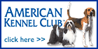 Great Dane Puppies , Great Danes for Sale , Great Dane Breeders